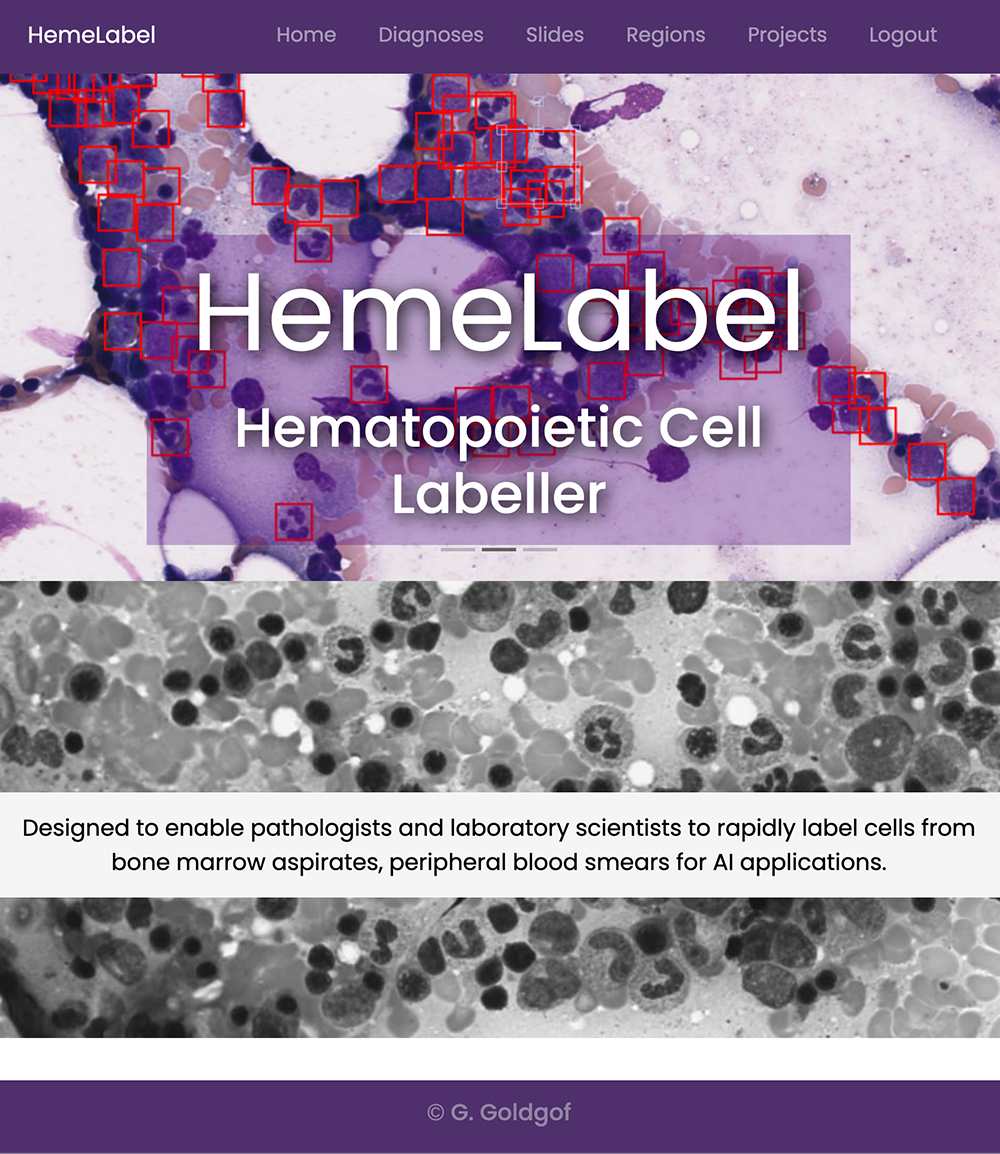 Screenshopt of project