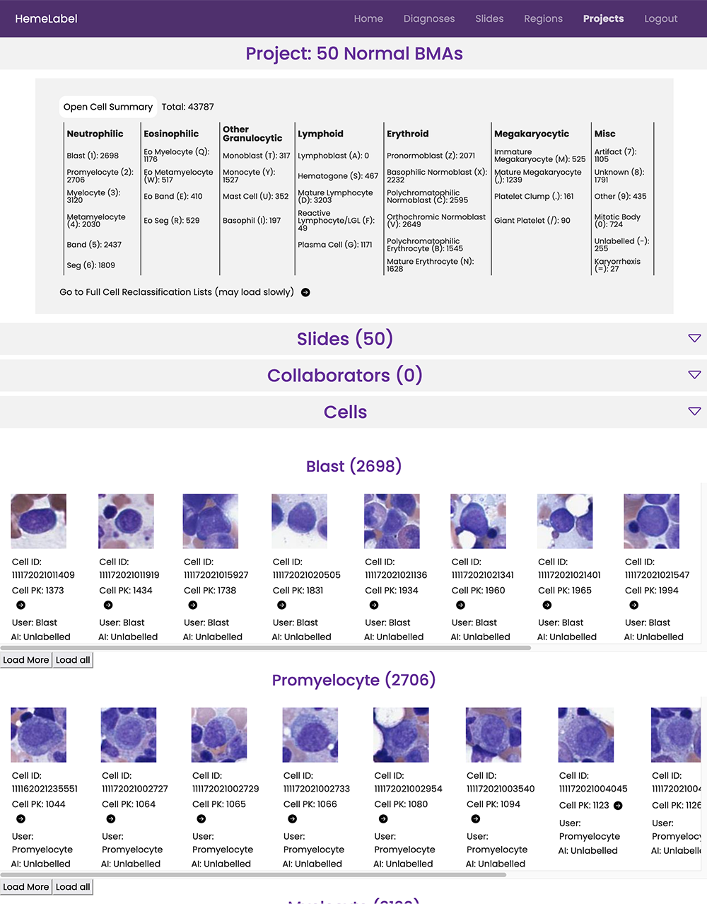 Full Page Screenshot