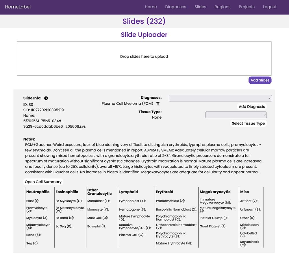 Full Page Screenshot